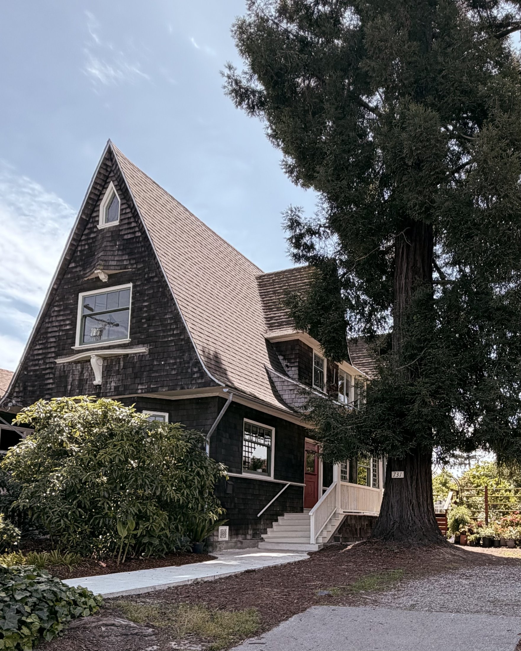 Brown-shingle Craftsman home with a steep gable beside a mature redwood, Bay Area, California, architectural photography by Nelson White